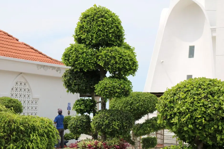 Greens & Outdoors at SHRIRAM KOLKATA COMMERCIAL, Uttarpara, Kolkata