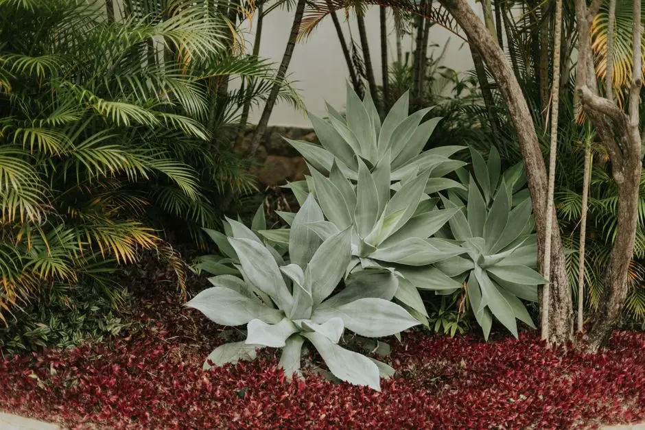 Greens & Outdoors at SHRIRAM BANNERGHATTA VILLAMENT, Kothnur, Bangalore