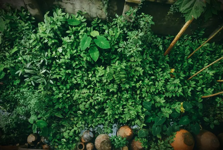 Greens & Outdoors at SHRIRAM CODENAME KING LIFE, Koyembedu, Chennai