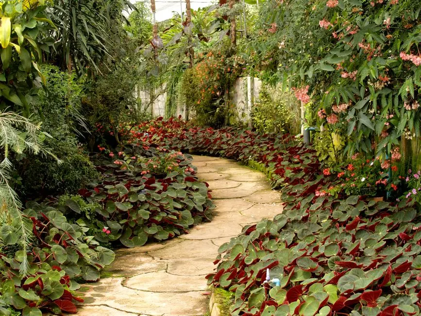 Greens & Outdoors at SHRIRAM SKYBLOOM VILLAS, Konnagar, Kolkata