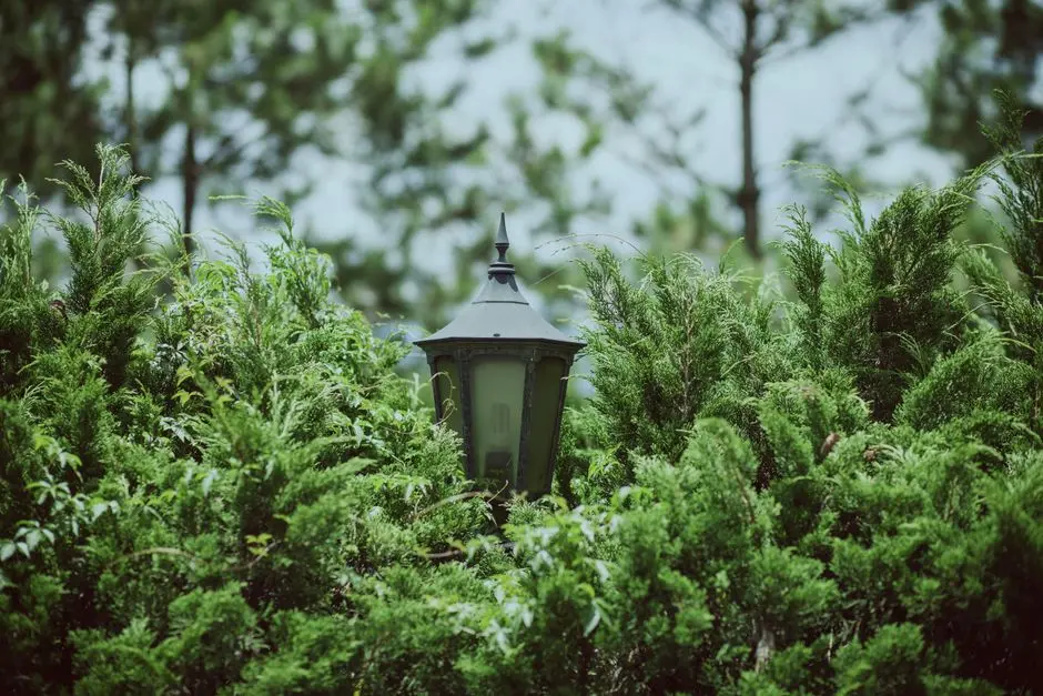 Greens & Outdoors at SHRIRAM SYMPHONY, Uttarpara, Hooghly, Kolkata