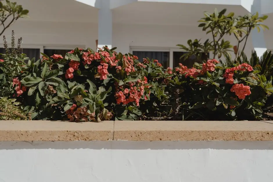Greens & Outdoors at SHRIRAM PILLAI LAND, Chandapura, Bangalore