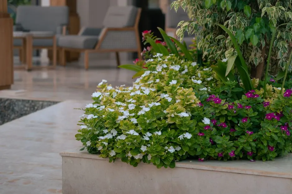 Greens & Outdoors at SHRIRAM SWARGATE, Pune