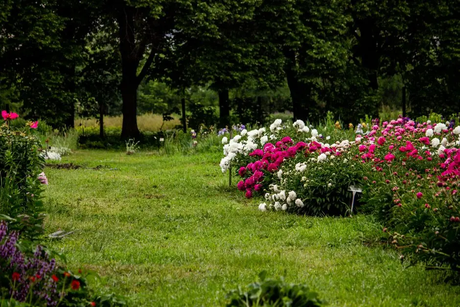 Greens & Outdoors at SHRIRAM SUNSHINE PHASE 3, Uttarpara, Kolkata