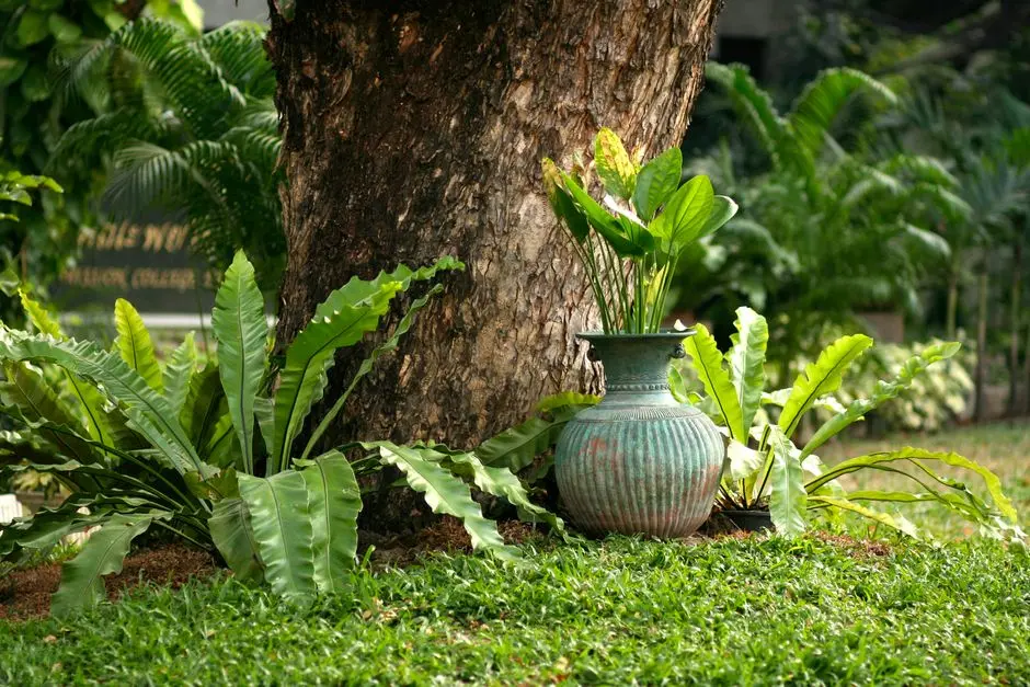 Greens & Outdoors at SHRIRAM 107 SOUTHEAST, Attibele, Bangalore