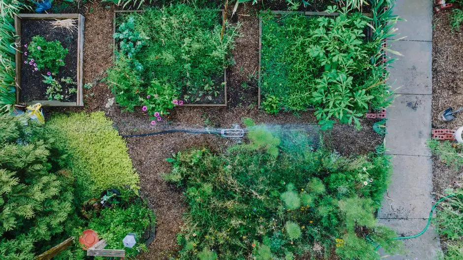 Greens & Outdoors at SHRIRAM YELAHANKA PREMIUM APARTMENTS (BIODIVERSITY PARK), Bangalore