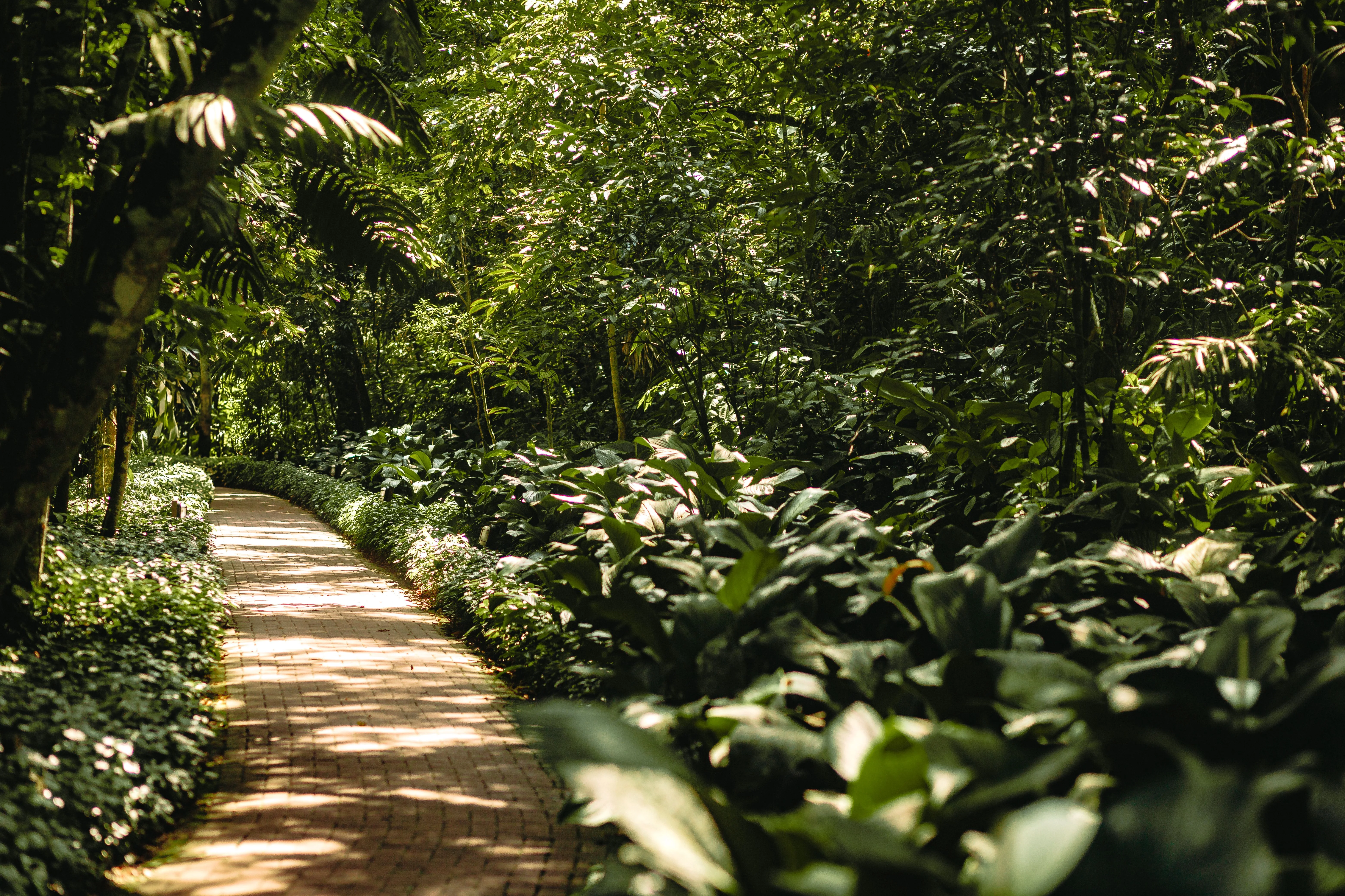 Greens & Outdoors at SHRIRAM YELAHANKA PREMIUM ROW HOUSES, Bangalore