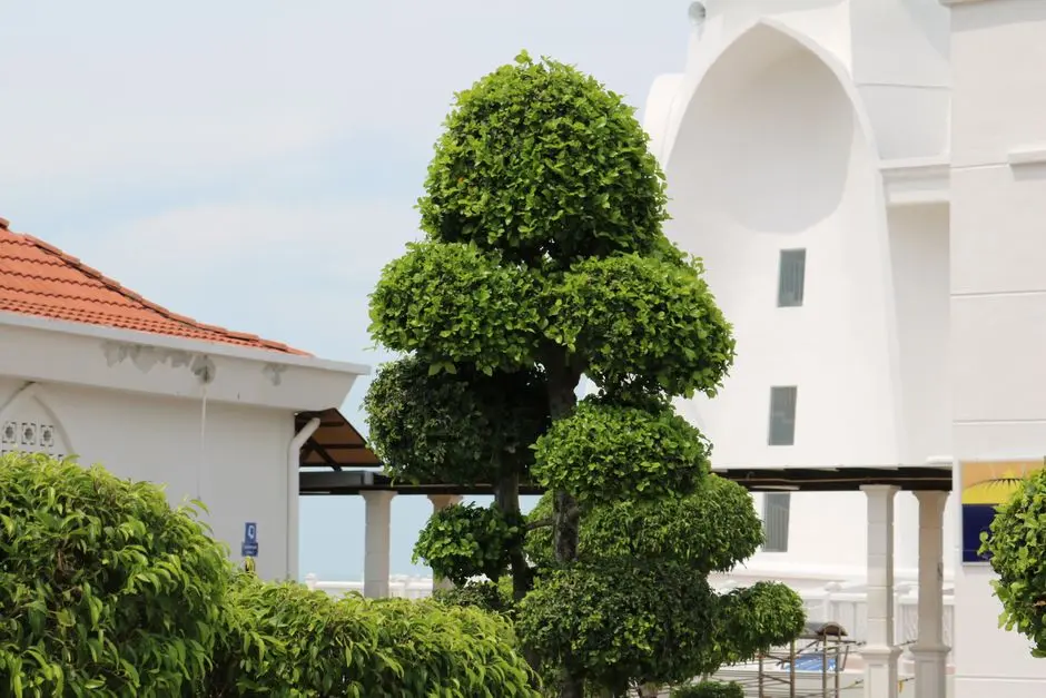 Greens & Outdoors at SHRIRAM CODENAME DIL CHAHTA HAI DOBARA, Attibele, Bangalore