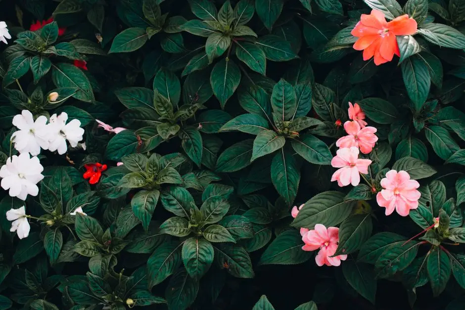 Greens & Outdoors at SHRIRAM SAPPHIRE, Bommasandra, Bangalore