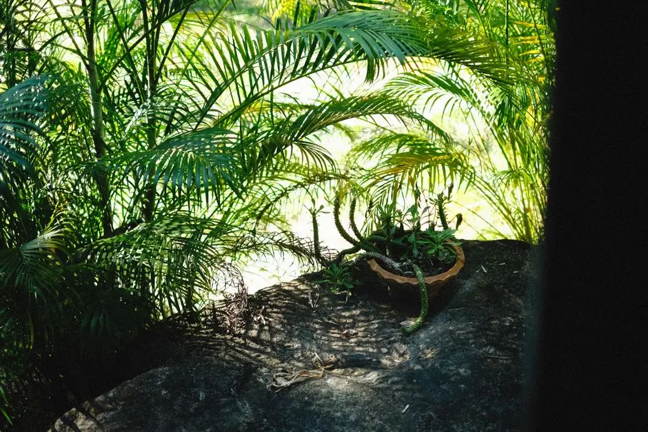 Greens & Outdoors at SHRIRAM WESTWOODS, Dodderi, Bangalore