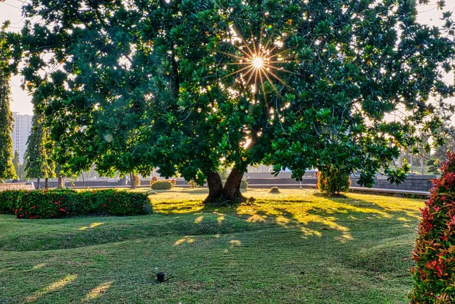 Greens & Outdoors at SHRIRAM EARTH WHITEFIELD, Bangalore