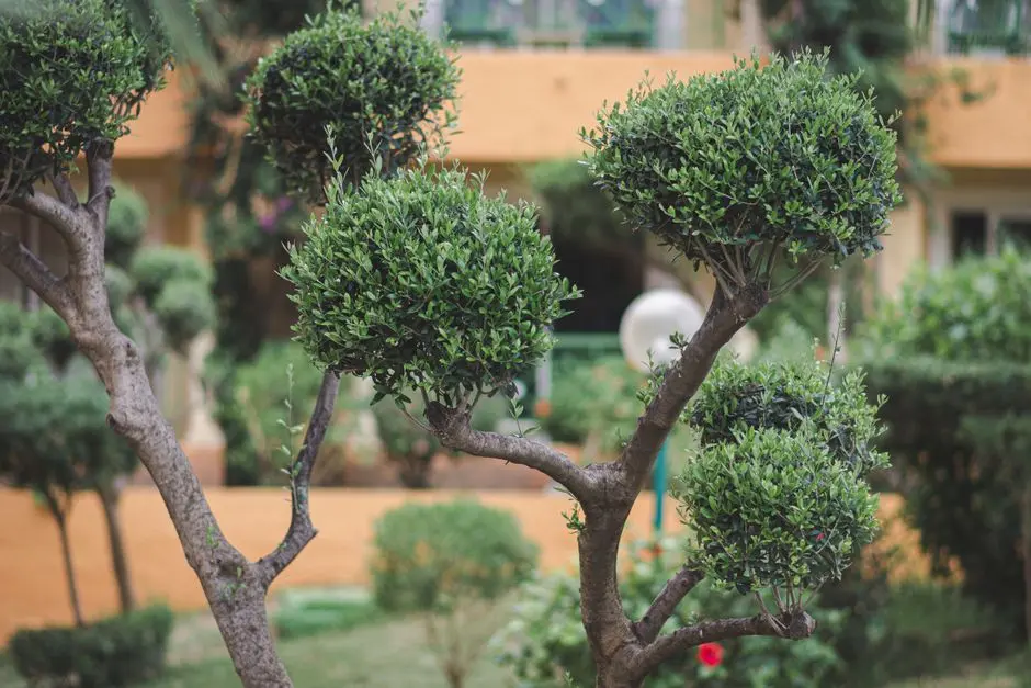 Greens & Outdoors at SHRIRAM SUMMITT, Electronic City Phase 1, Bangalore