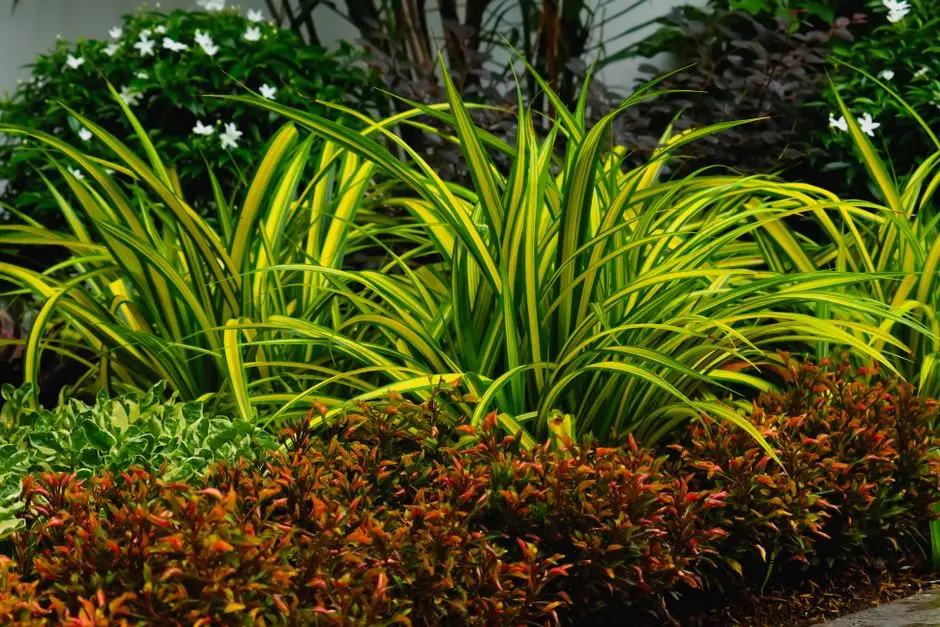 Greens & Outdoors at SHRIRAM LUXOR, Chikkagubbi, Hennur Road, Bangalore