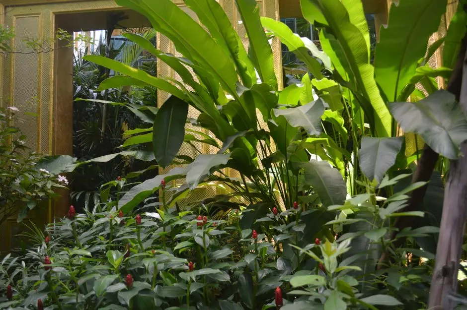 Greens & Outdoors at SHRIRAM VILLAS CBD, Central Business District, Bangalore