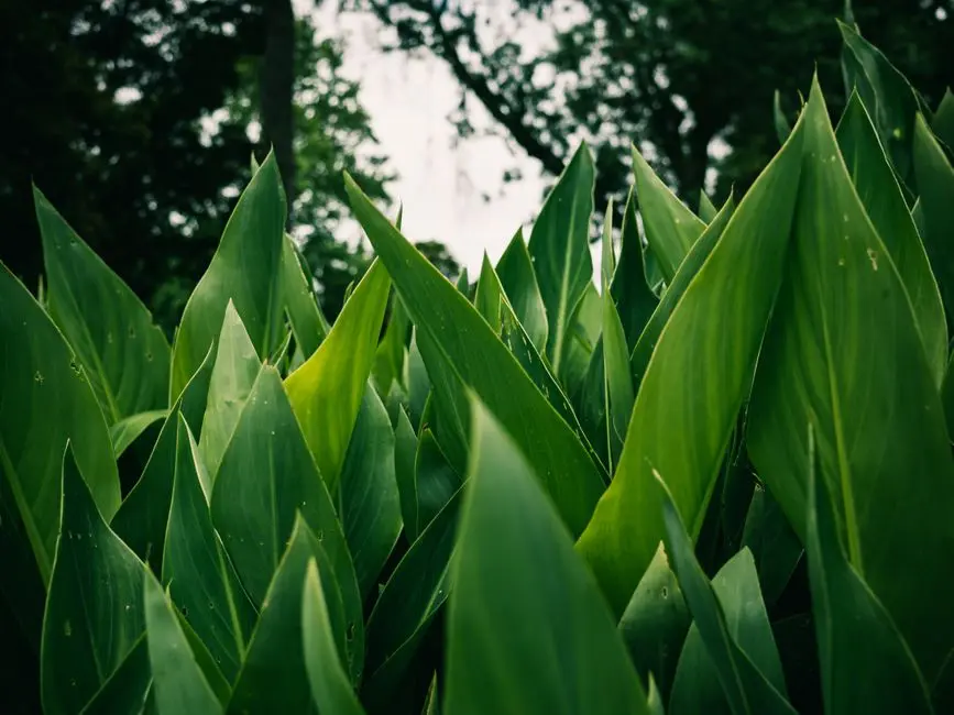 Greens & Outdoors at SHRIRAM MANGALAM (CODENAME WEST 122), Mangadu, Chennai