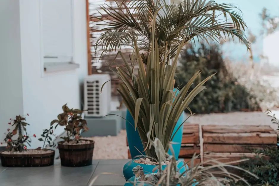 Greens & Outdoors at SHRIRAM SHANKARI, Guduvanchery, Chennai