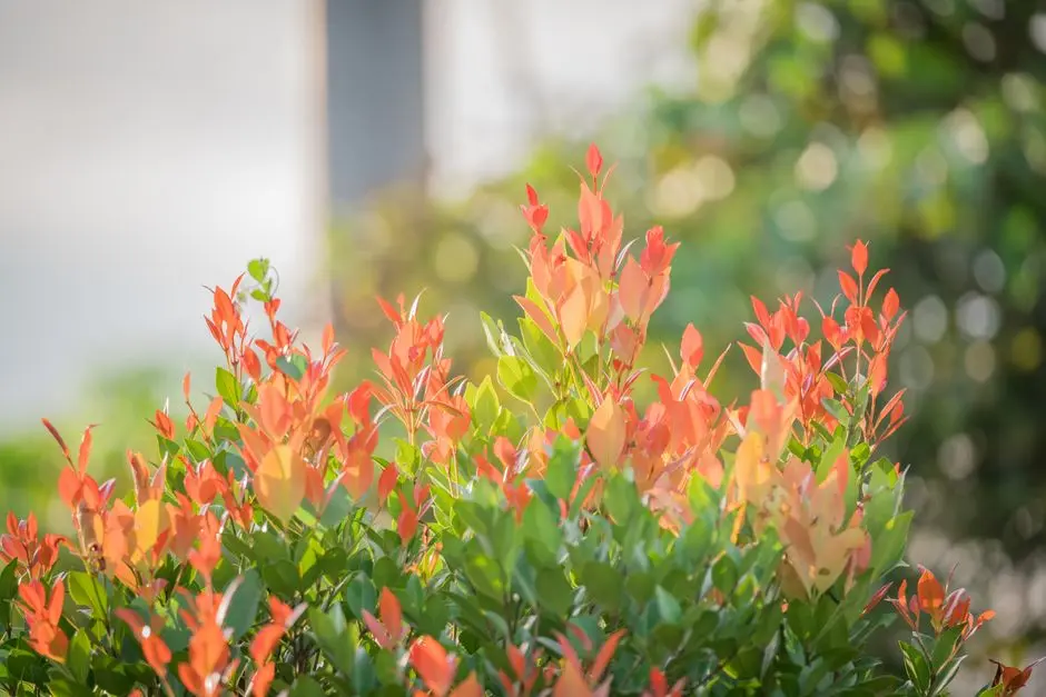 Greens & Outdoors at SHRIRAM SHRESHTA, Madukkarai, Coimbatore