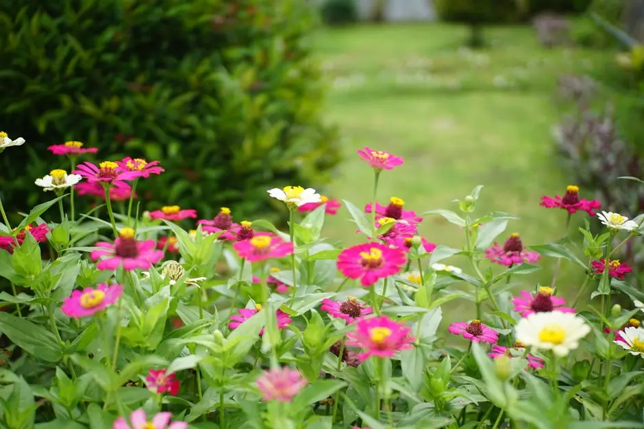 Greens & Outdoors at SHRIRAM SUVILAS PALMS, Jalahalli West, Bangalore
