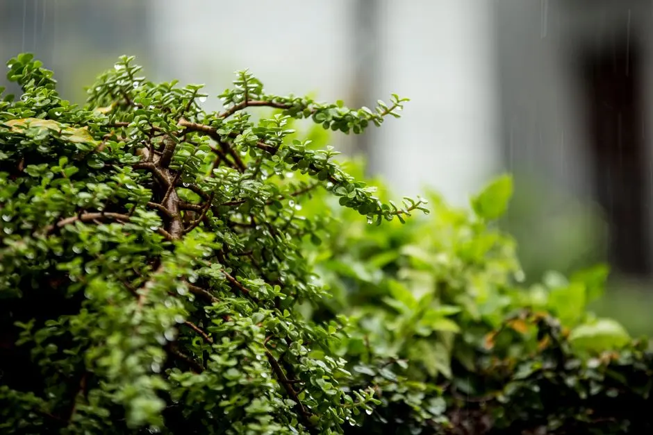 Greens & Outdoors at SHRIRAM SKYPARK, Dhanori, Pune
